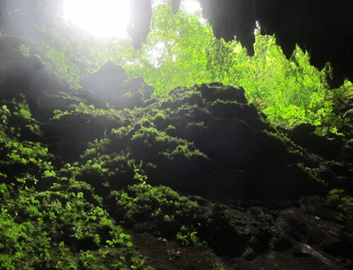 The Caves In Puerto Rico You Fear To Enter Hold The Treasures You Seek