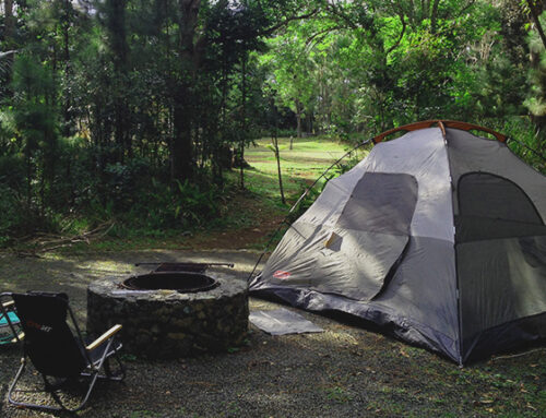 The Secrets Of Camping in Puerto Rico- Part 1 (The Process)