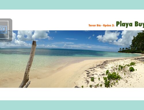 Playa Buye Puerto Rico
